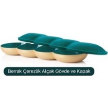 Esranın Dünyası Tupperware Berrak Çerezlik Alçak Gövde ve Kapak