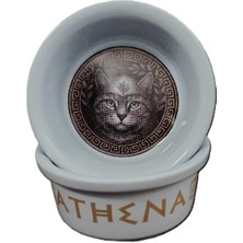 Esranın Dünyası Raccoon Olimpos Serisi Athena Seramik Mama ve Su Kabı 300ML