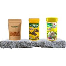 Esranın Dünyası Purecanpati Gammarus Kaplumbağa Yemi, Çöpçü Yem, Sarımsaklı Yem Seti - Su Kaplumbağaları ve Akvaryum Balıkları Için - Spirulina ve Sarımsak - 10 gr Gammarus, 100 ml Granulat, 250 ml Wafers Chips