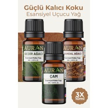 Esranın Dünyası Auran Sedir Sandal Çam Saf Esansiyel Uçucu Yağ Buhurdanlık Yağ Difüzör Esans Aromaterapi Ortam 3x 10ML