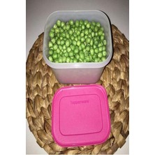 Esranın Dünyası Tupperware Alaska 1.1 Lt Buzluk Serisi