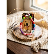 Boncuklu Köpek Tasması