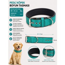 Pedli Köpek Boyun Tasması 49-61 cm 4,5 cm Geniş Deri Görünümlü Metal Tokalı - Turkuaz
