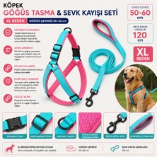 Köpek Göğüs Tasması ve Sevk Kayışı Seti Xl Beden 50-60 cm File Astarlı 120 cm Kayış - Turkuaz Pembe