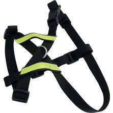M-Pets Secura 2 In 1 Göğüs Tasması Xs Boy