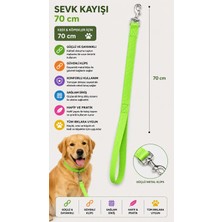 Kedi ve Köpek Sevk Kayışı 70 cm Dokuma Naylon Metal Klipsli Kısa Gezdirme Kayışı - Fıstık Yeşili