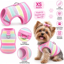 Küçük Irk Köpek Göğüs Tasması Yelek Tipi Pastel Çizgili - Xs Beden