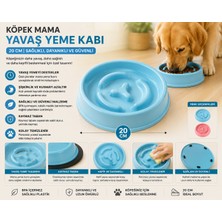 Köpek Yavaş Yeme Mama Kabı 20 cm Kaymaz Tabanlı Anti Şişkinlik - Mavi