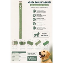 Köpek Boyun Tasması 39-50 cm Dokuma Naylon Perçinli Metal Tokalı D Halkalı - Yeşil