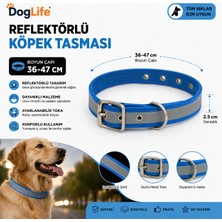 Dog Life Reflektörlü Köpek Boyun Tasması 36-47 cm 2,5 cm Geniş Metal Tokalı - Mavi
