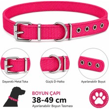 Köpek Boyun Tasması 38-49 cm Dokuma Naylon Metal Tokalı D Halkalı Ayarlanabilir - Kırmızı