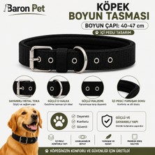 Pedli Köpek Boyun Tasması 40-47 cm 2 cm Içi Pedli Metal Tokalı D Halkalı - Siyah