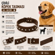 Dog Life Çivili Köpek Boyun Tasması 34-44 cm Ayarlanabilir Metal Tokalı - Kahverengi