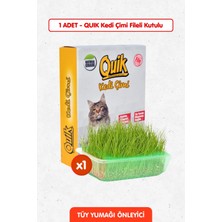 Quik Doğal Kedi Çimi (Fileli)