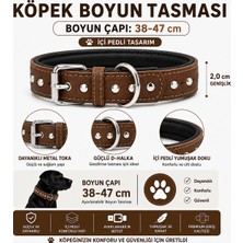Perçin Süslemeli Deri Köpek Boyun Tasması 38-47 cm Pedli Iç Yüzey Metal Tokalı - Kahverengi