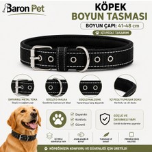 Pedli Köpek Boyun Tasması 41-48 cm 2 cm Içi Pedli Metal Tokalı D Halkalı - Siyah