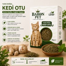 Baron Pet Kedi Otu 20 gr