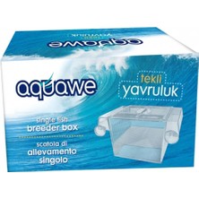 Akvaryum Tekli Yavruluk