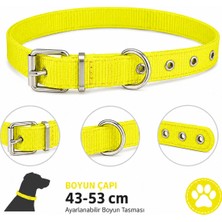 Köpek Boyun Tasması 43-53 cm Neon Sarı Dokuma Naylon Metal Tokalı D Halkalı Ayarlanabilir