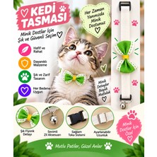 Kedi Tasması Krem Yeşil Fiyonklu Zilli Ayarlanabilir Klipsli Kumaş Kedi Boyun Tasması