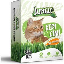 Jungle Kedi Çimi Kutulu