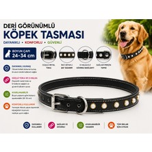 Incili Deri Görünümlü Köpek Boyun Tasması 24-34 cm Küçük Irk Ayarlanabilir Metal Tokalı - Siyah
