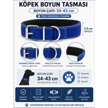 Pedli Köpek Boyun Tasması 34-43 cm 2,5 cm Dokuma Naylon Metal Tokalı - Saks Mavi