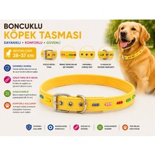 Boncuklu Köpek Boyun Tasması 28-37 cm Ayarlanabilir Metal Tokalı D Halkalı - Sarı