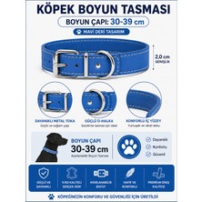 Deri Köpek Boyun Tasması 30-39 cm 2 cm Metal Tokalı D Halkalı Ayarlanabilir - Saks Mavi