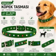 Boncuklu Köpek Boyun Tasması 27-36 cm Ayarlanabilir Metal Tokalı D Halkalı - Yeşil
