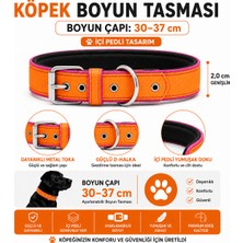 Pedli Köpek Boyun Tasması 30-37 cm 2 cm Içi Pedli Metal Tokalı - Turuncu Pembe
