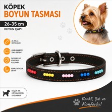 Boncuklu Köpek Boyun Tasması 26-35 cm Küçük Irk Ayarlanabilir Metal Tokalı D Halkalı - Siyah