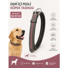Deri Köpek Boyun Tasması Içi Pedli Örgü Şeritli 42-47 cm Ayarlanabilir Metal Tokalı - Antrasit