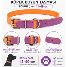 Köpek Boyun Tasması 41-49 cm Dokuma Naylon Mor Deri Detaylı Metal Tokalı - Turuncu