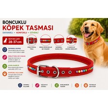 Boncuklu Köpek Boyun Tasması 28-37 cm Ayarlanabilir Metal Tokalı D Halkalı - Kırmızı