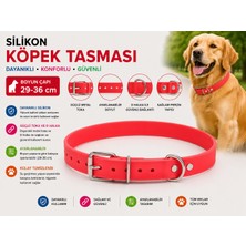 Silikon Köpek Boyun Tasması 29-36 cm Su Geçirmez Ayarlanabilir Metal Tokalı - Kırmızı