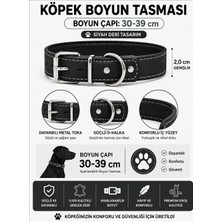 Deri Köpek Boyun Tasması 30-39 cm 2 cm Metal Tokalı D Halkalı Ayarlanabilir - Siyah