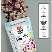 Pol's Freeze Fresh Dondurularak Kurutulmuş Fun Mix 20 G