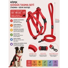 Köpek Göğüs Tasması ve Sevk Kayışı Seti 45-55 cm Reflektörlü Içi Pedli 70 cm Kayış - Kırmızı