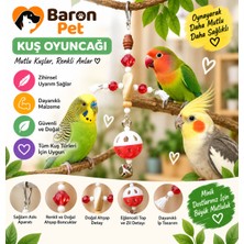 Kuş Oyuncağı Kırmızı Kristal Boncuklu Delikli Toplu Çift Zilli Ahşap Detaylı Kafes Içi Papağan Oyuncağı