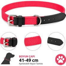 Köpek Boyun Tasması 41-49 cm Dokuma Naylon Siyah Deri Uçlu Metal Tokalı - Kırmızı