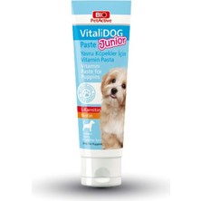 Bio Petactive Vitalidog Yavru Köpek Multivitamin Pasta 100 ml