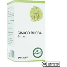 Anti Ginkgo Biloba Ekstresi 60 Kapsül