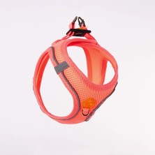 Air Mesh Köpek Göğüs Tasması Reflektörlü Nefes Alan File Kumaş Neon Pembe - Xs Beden