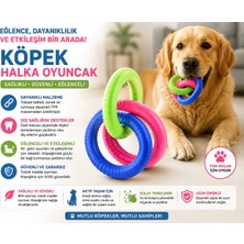 Dog Life Köpek Halka Oyuncak 3 Lü Diş Kaşıma Tpr Çekiştirme Oyuncağı