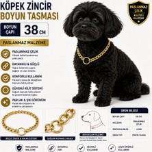 Köpek Zincir Boyun Tasması 38 cm Paslanmaz Çelik 4 mm Kalınlık - Altın
