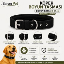 Pedli Köpek Boyun Tasması 30-37 cm 2 cm Içi Pedli Metal Tokalı D Halkalı - Siyah