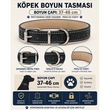 Pati Desenli Deri Köpek Boyun Tasması 37-46 cm Pedli Iç Yüzey Metal Tokalı - Lacivert