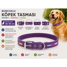 Boncuklu Köpek Boyun Tasması 26-35 cm Küçük Irk Ayarlanabilir Metal Tokalı D Halkalı - Mor