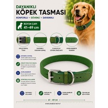 Köpek Boyun Tasması 41-49 cm Dokuma Kumaş Deri Detaylı Ayarlanabilir Metal Tokalı - Yeşil